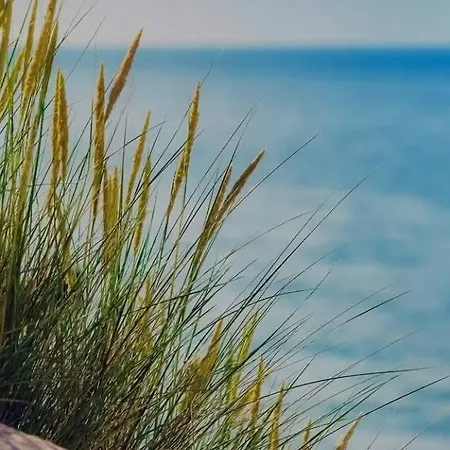 Just Steps From The - Central, Stylish & Comfortable דירה