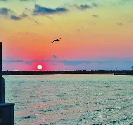 Just Steps From The - Central, Stylish & Comfortable * פלטמונס