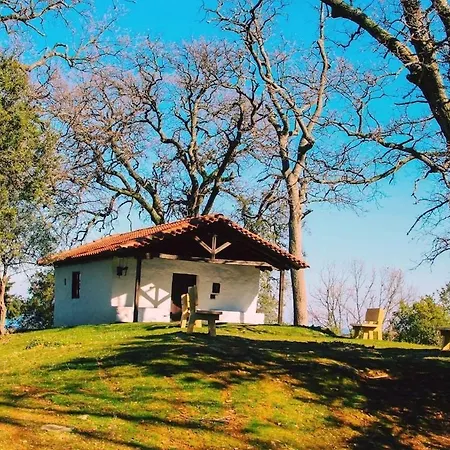 Just Steps From The - Central, Stylish & Comfortable * פלטמונס