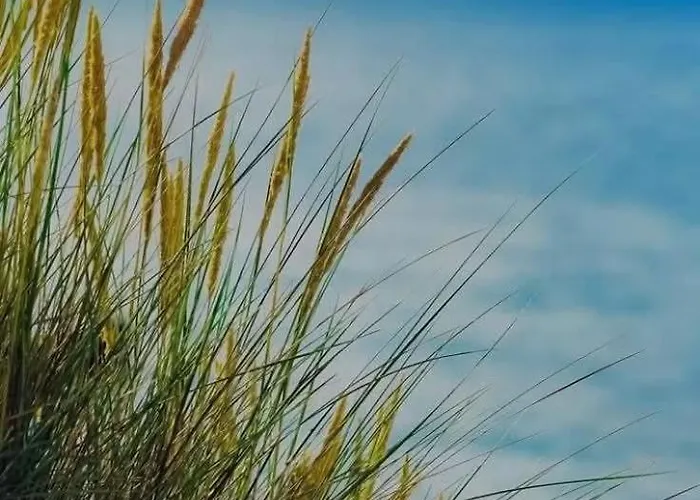 Just Steps From The - Central, Stylish & Comfortable Apartamento