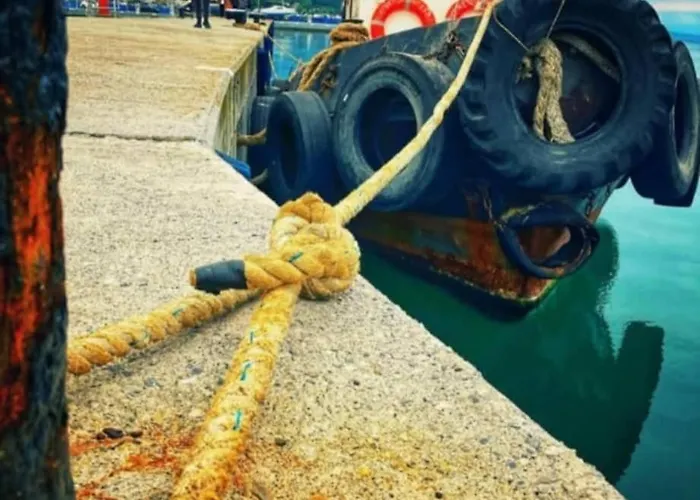 Just Steps From The - Central, Stylish & Comfortable *